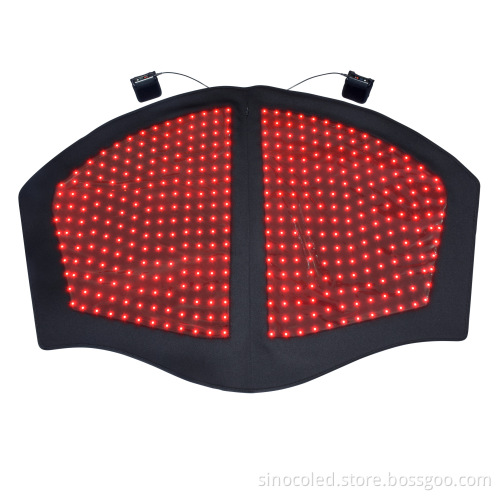 660nm 850nm Horse Red Light Therapy Instruments for Pet Neck Care